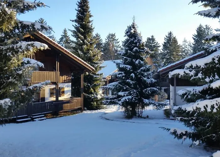 Ferienhaus Im Waldferiendorf Regen