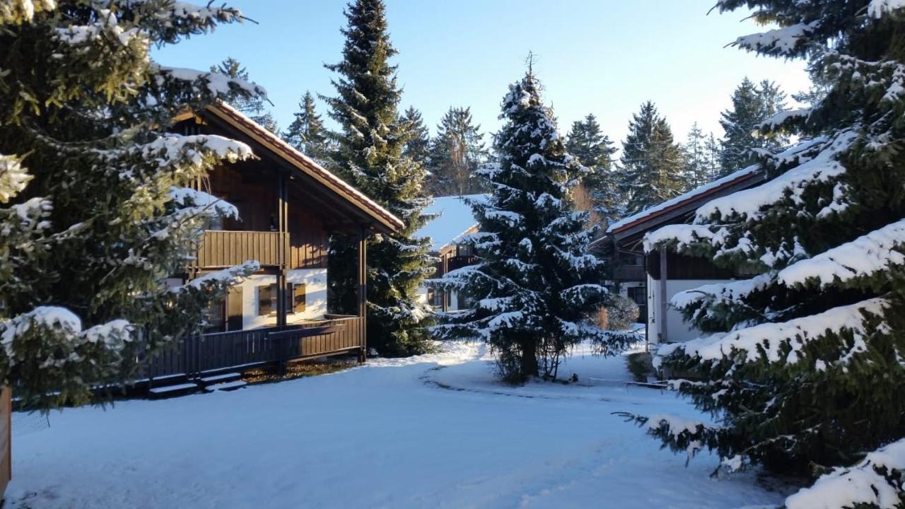 Im Waldferiendorf *